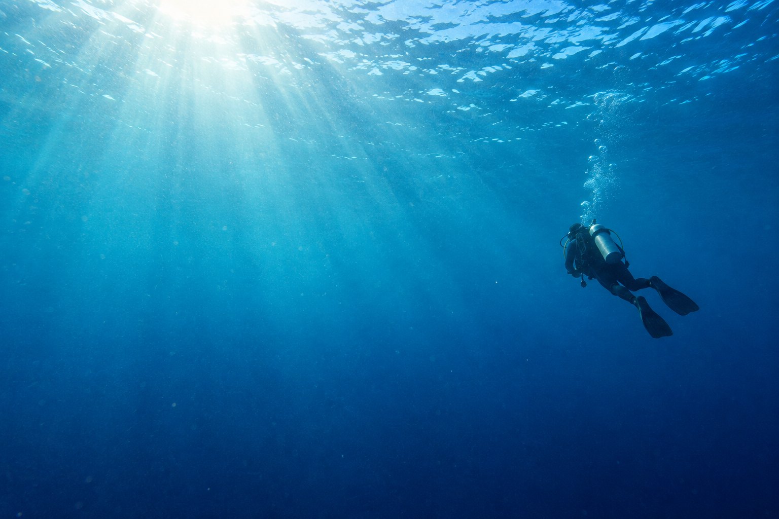 A scuba diver a few metres below the surface, sunlight breaking through the water above
