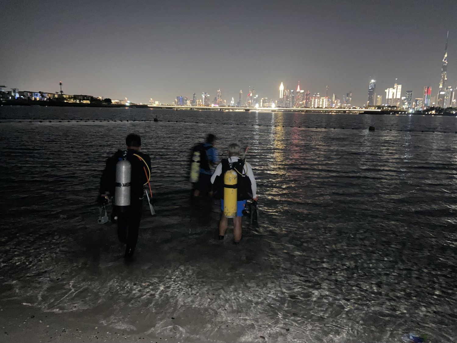 Four divers with tanks wading into shallow water at night, a lit city skyline across the bay