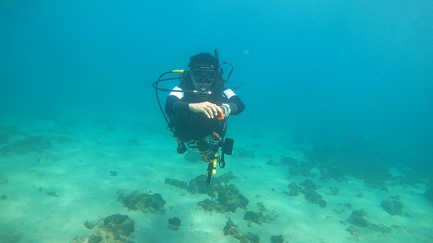 A diver descending alone over a sandy reef slope in clear blue water